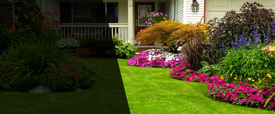 Aspen Landscapers